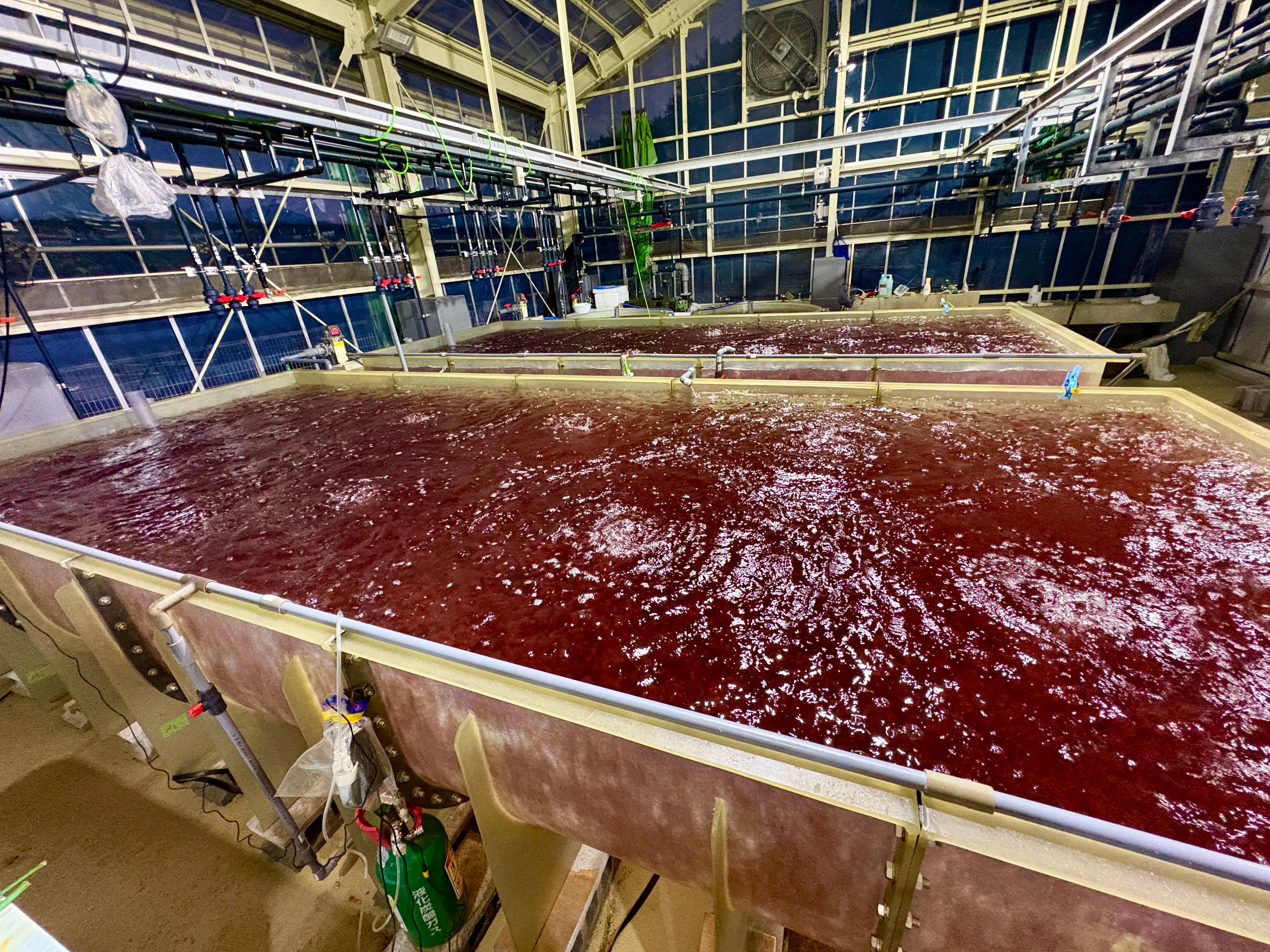 陸上養殖施設のタンク
